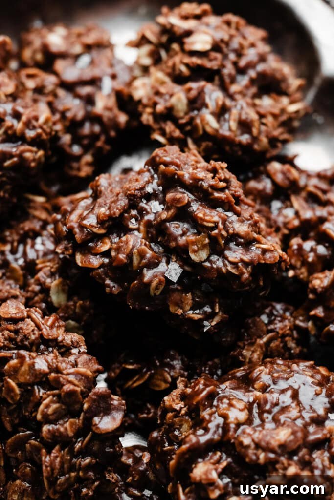 A close-up of the no bake cookies, topped with flaky sea salt.
