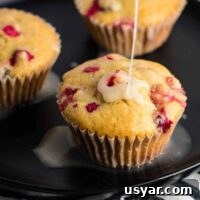 Healthy Cranberry Orange Muffins