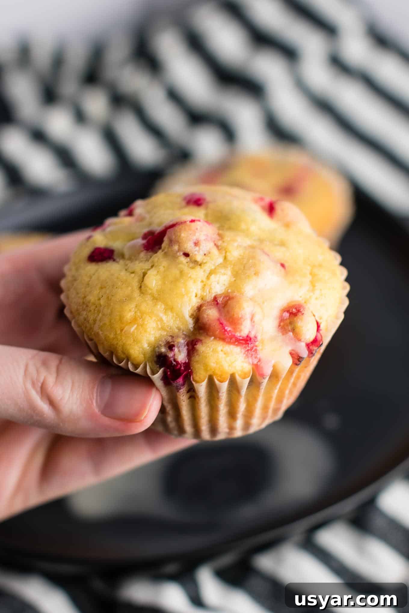 Healthy Cranberry Orange Muffins recipe made with greek yogurt and whole wheat pastry flour with a sweet orange glze. A healthier holiday breakfast or dessert! #breakfast #cranberry #muffins #cranberryorangemuffins #healthy