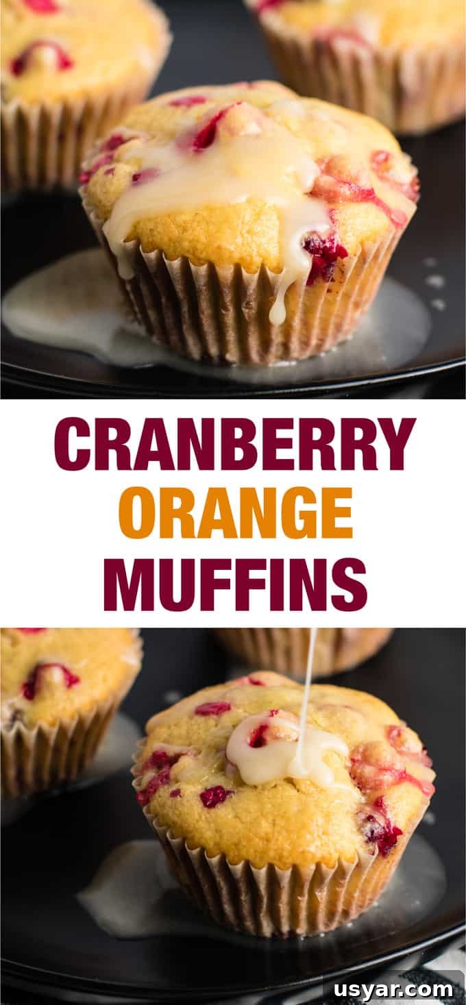 healthy cranberry orange muffins with greek yogurt - these are amazing! #cranberry #muffins #orange #christmas #breakfast