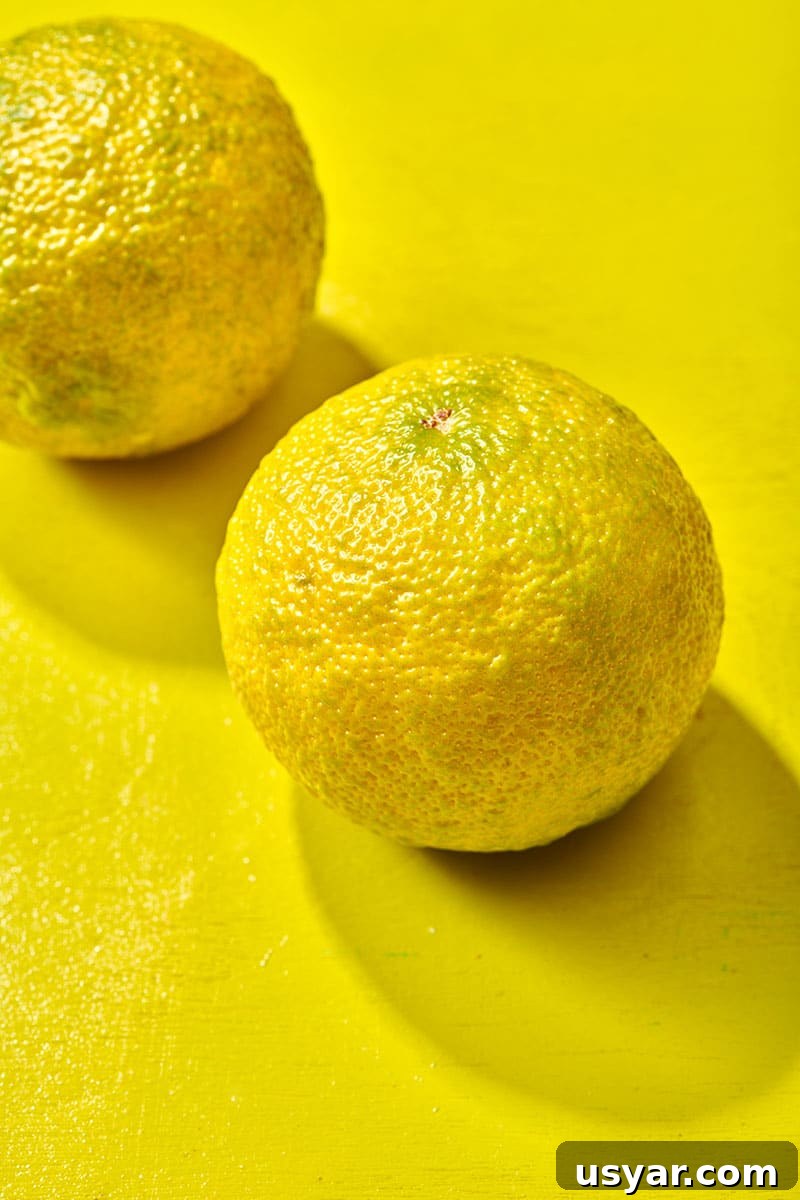 Two fresh yuzu fruits on yellow background