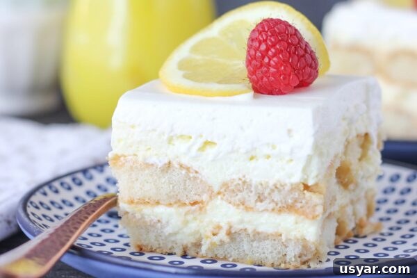 9 Refreshing No-Bake Summer Desserts 3 img 6003 2