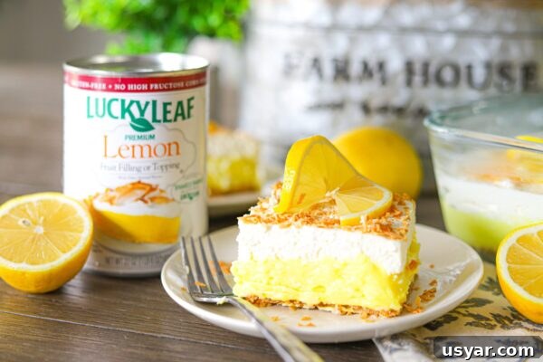 9 Refreshing No-Bake Summer Desserts 5 img 6003 4