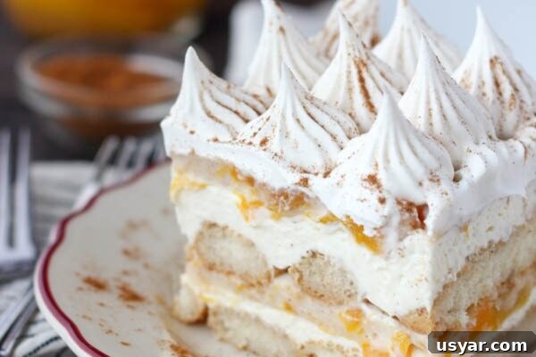 9 Refreshing No-Bake Summer Desserts 6 img 6003 5