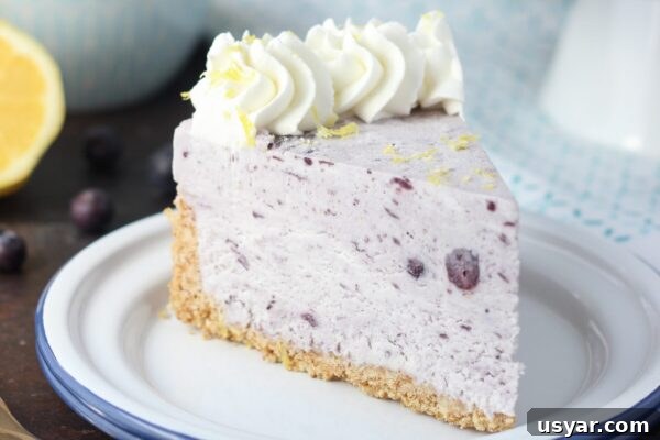 9 Refreshing No-Bake Summer Desserts 10 img 6003 9