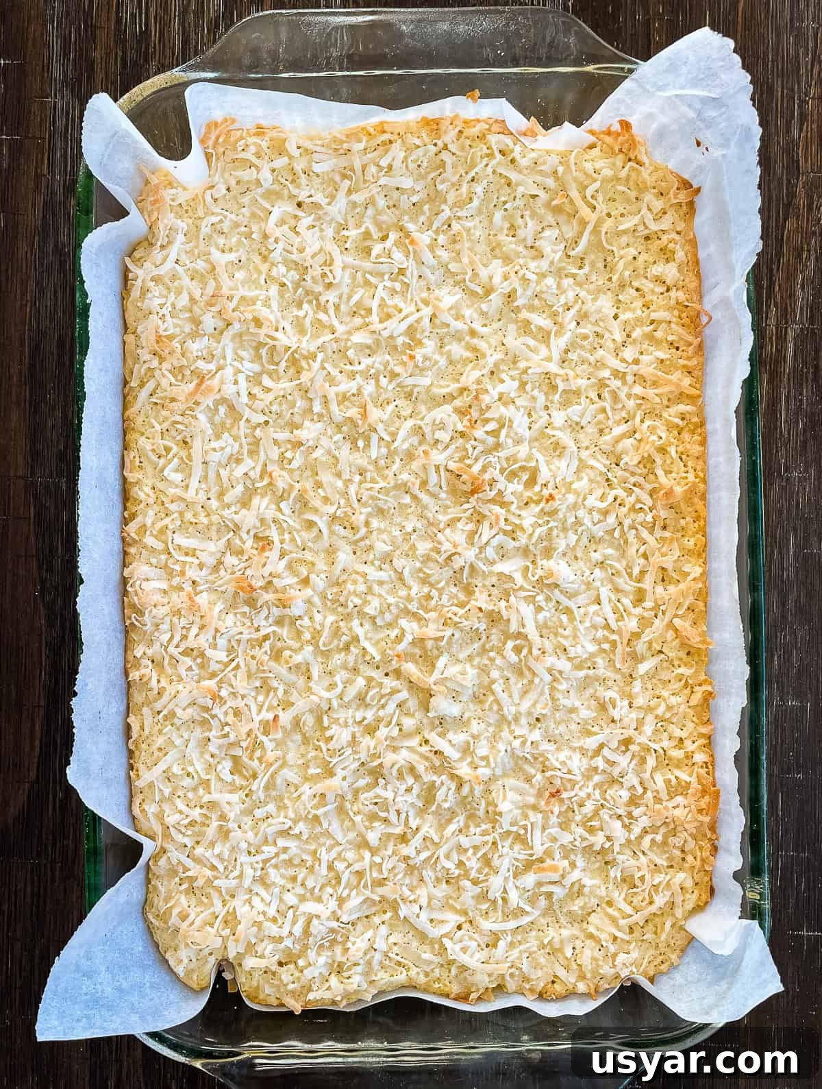 Homemade Chewy Buttery Coconut Bars 5 img 69388 4