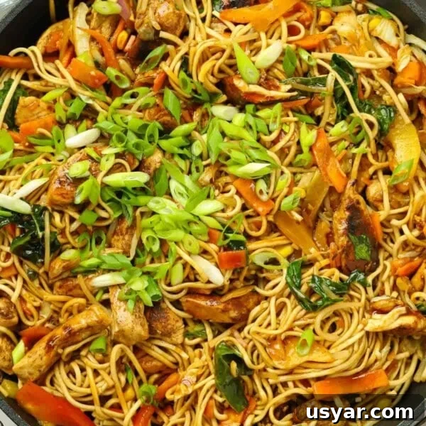 A huge pan of Chicken Chow Mein, with noodles, vegetables and chicken, ready to eat.