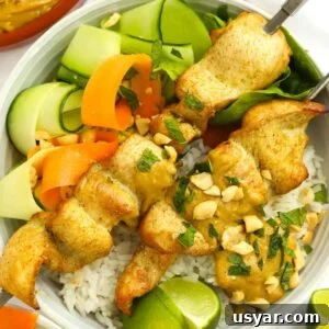 A bowl of chicken satay skewers with a side salad and rice, with peanuts over the top.