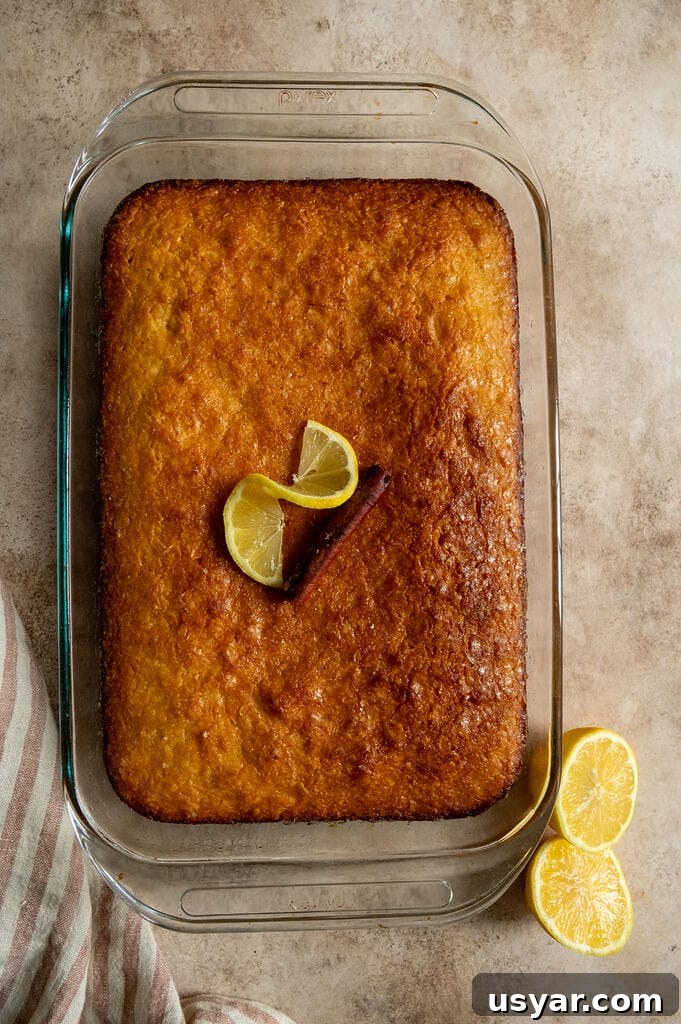 Lemonopita: Greek Lemon Cake with Phyllo 13 The baked lemonopita in a glass pyrex pan.