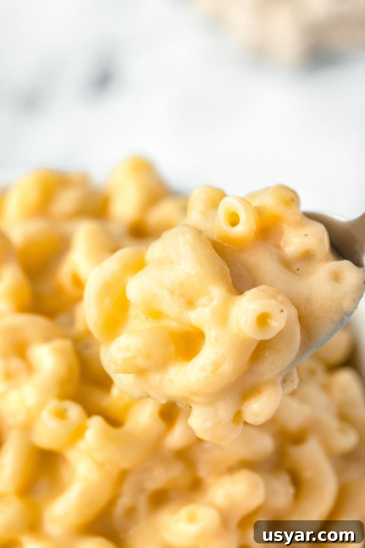 Creamy Stovetop Macaroni and Cheese 8 Spoon shot of mac and cheese.