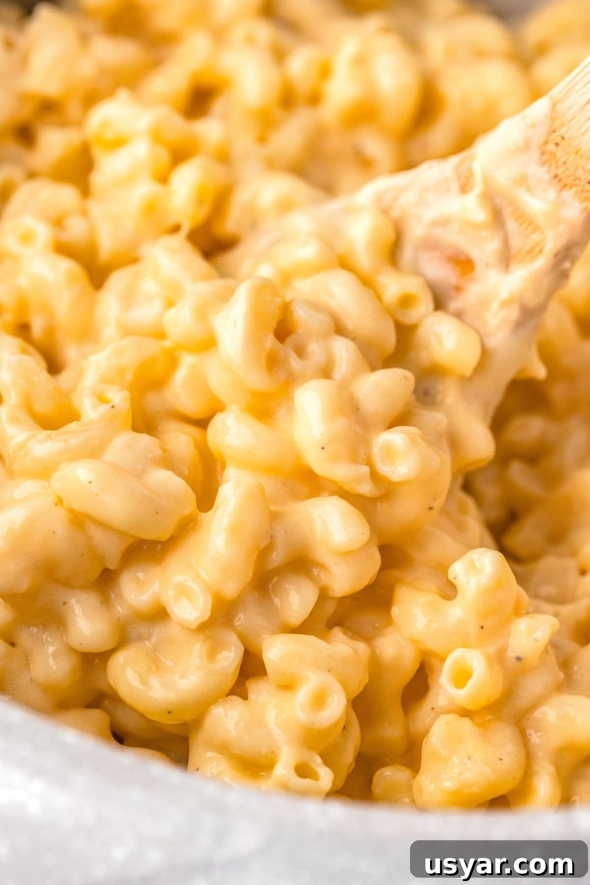 Creamy Stovetop Macaroni and Cheese 9 Creamy macaroni and cheese close-up with cheesy sauce on cooked pasta noodles.