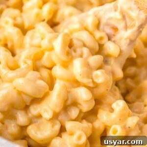 close up image of macaroni and cheese