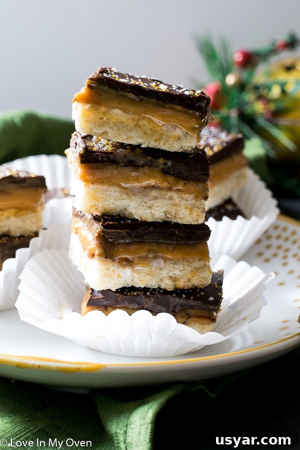 Salted Caramel Chocolate Shortbread Bars 2 img 8273 1