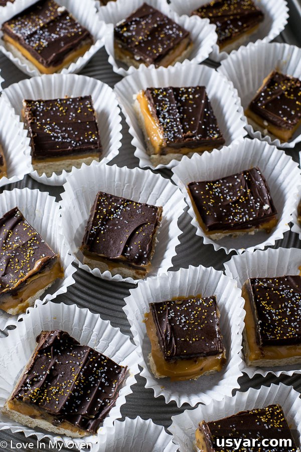 Salted Caramel Chocolate Shortbread Bars 5 holiday twix bars