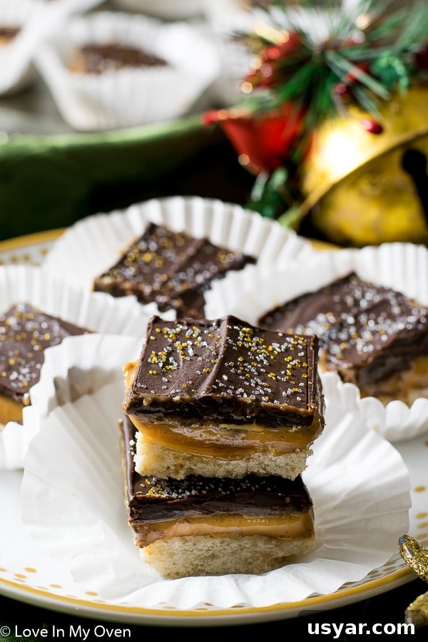 Salted Caramel Chocolate Shortbread Bars 6 img 8273 5