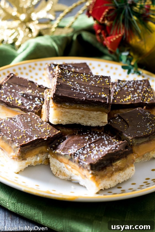Salted Caramel Chocolate Shortbread Bars 7 holiday twix bars
